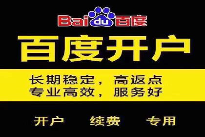 成功案例分享：托管竞价SEM优化策略